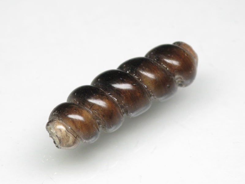 TOKO-BEADS AG134-21S Glass bead 7~7.5mm AG134-21S トゥイストビーズ 7~7.5mm Asian bead & African bead  Handmade,Lampeork,bead,asia,india,ethnic,parts,accessory,beads とんぼ玉,ビーズ,トンボ玉,アジア,インド,エスニック,手作り,パーツ,アクセサリー