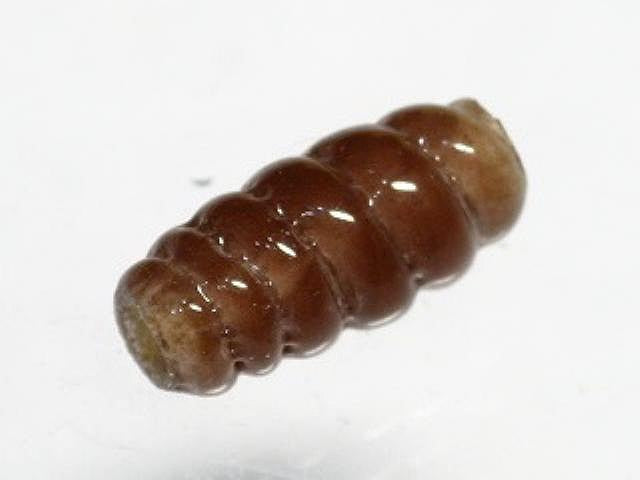 TOKO-BEADS AG134-25S Glass bead 7mm AG134-25S トゥイストビーズ 7mm Asian bead & African bead  Handmade,Lampeork,bead,asia,india,ethnic,parts,accessory,beads とんぼ玉,ビーズ,トンボ玉,アジア,インド,エスニック,手作り,パーツ,アクセサリー