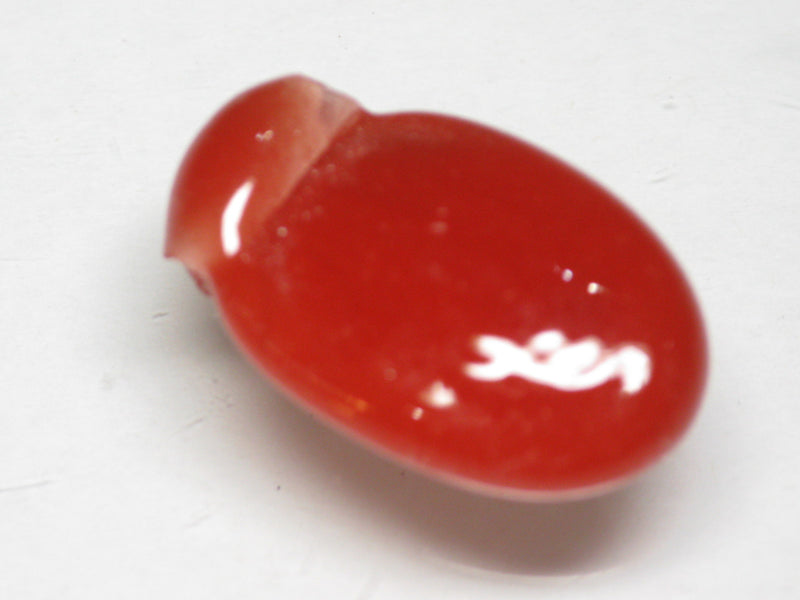 TOKO-BEADS AG152-06 Glass charm 22~24mm AG152-06 ガラスチャーム 22~24mm Asian bead & African bead  Handmade,Lampeork,bead,asia,india,ethnic,parts,accessory,beads とんぼ玉,ビーズ,トンボ玉,アジア,インド,エスニック,手作り,パーツ,アクセサリー