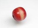TOKO-BEADS | TOKO-BEADS |AW166-17 種子ビーズ 12.5mm | TOKO-BEADS |AW166-17 Seed bead 12.5mm Asian bead & African bead  Handmade,Lampeork,bead,asia,india,ethnic,parts,accessory,beads とんぼ玉,ビーズ,トンボ玉,アジア,インド,エスニック,手作り,パーツ,アクセサリー