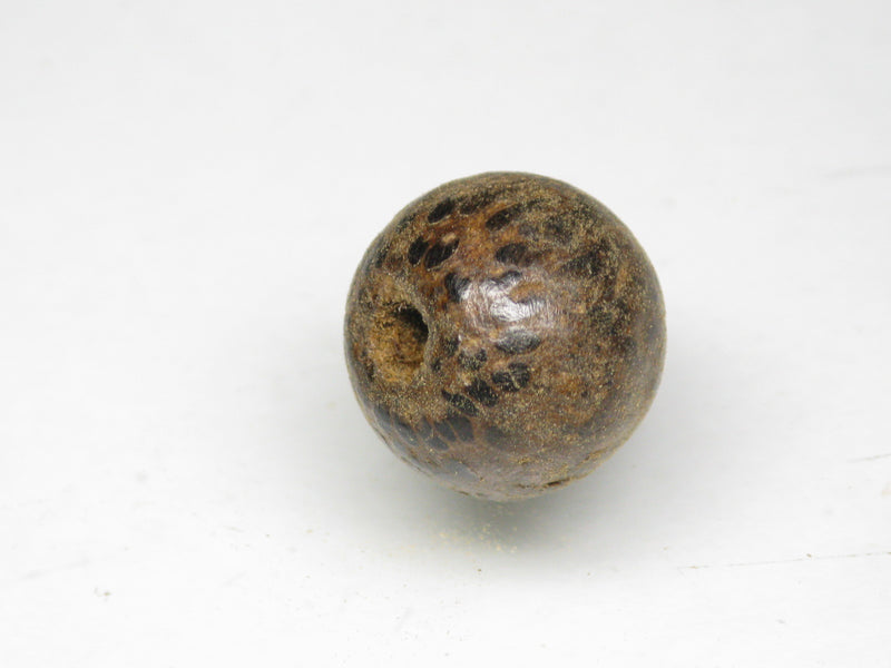 TOKO-BEADS AW176-23S Palm wood bead 11~12.5mm AW176-23S ココナッツビーズ 11~12.5mm Asian bead & African bead  Handmade,Lampeork,bead,asia,india,ethnic,parts,accessory,beads とんぼ玉,ビーズ,トンボ玉,アジア,インド,エスニック,手作り,パーツ,アクセサリー