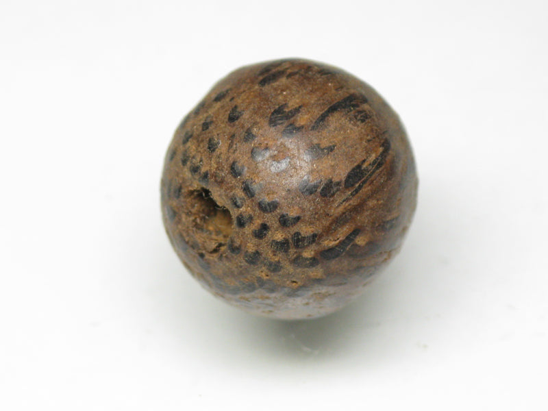 TOKO-BEADS AW176-24S Palm wood bead 14.5mm AW176-24S ココナッツビーズ 14.5mm Asian bead & African bead  Handmade,Lampeork,bead,asia,india,ethnic,parts,accessory,beads とんぼ玉,ビーズ,トンボ玉,アジア,インド,エスニック,手作り,パーツ,アクセサリー
