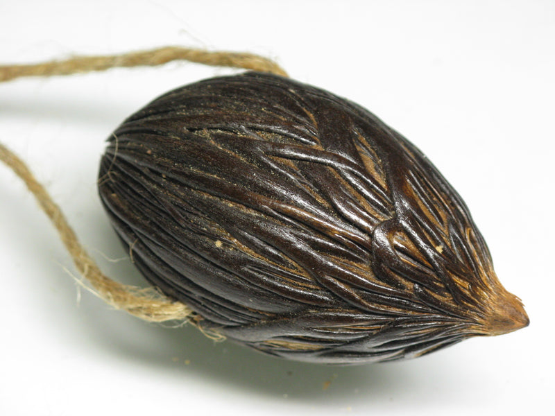 TOKO-BEADS AW207-24 Nuts & Seeds Charm 52~55mm AW207-24 木の実・豆チャーム 52~55mm Asian bead & African bead  Handmade,Lampeork,bead,asia,india,ethnic,parts,accessory,beads とんぼ玉,ビーズ,トンボ玉,アジア,インド,エスニック,手作り,パーツ,アクセサリー