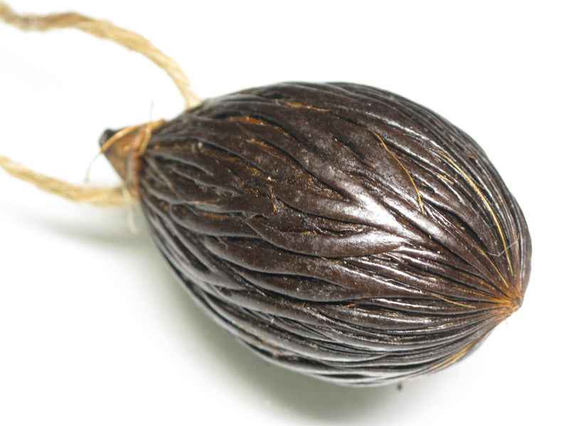 TOKO-BEADS AW207-25 Nuts & Seeds Charm 50~51mm AW207-25 木の実・豆チャーム 50~51mm Asian bead & African bead  Handmade,Lampeork,bead,asia,india,ethnic,parts,accessory,beads とんぼ玉,ビーズ,トンボ玉,アジア,インド,エスニック,手作り,パーツ,アクセサリー