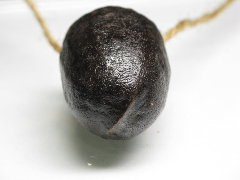 TOKO-BEADS AW207-31 Nuts & Seeds Charm 42.5mm AW207-31 木の実・豆チャーム 42.5mm Asian bead & African bead  Handmade,Lampeork,bead,asia,india,ethnic,parts,accessory,beads とんぼ玉,ビーズ,トンボ玉,アジア,インド,エスニック,手作り,パーツ,アクセサリー