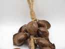 TOKO-BEADS AW207-90N Botanical seed ornament L:32Cmmm AW207-90N 木の実のオーナメント L:32Cmmm Asian bead & African bead  Handmade,Lampeork,bead,asia,india,ethnic,parts,accessory,beads とんぼ玉,ビーズ,トンボ玉,アジア,インド,エスニック,手作り,パーツ,アクセサリー