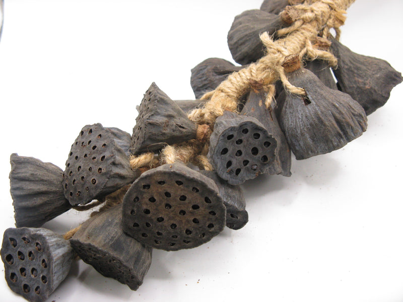 TOKO-BEADS AW207N-91 Botanical seed ornament L:35Cmmm AW207N-91 木の実のオーナメント L:35Cmmm Asian bead & African bead  Handmade,Lampeork,bead,asia,india,ethnic,parts,accessory,beads とんぼ玉,ビーズ,トンボ玉,アジア,インド,エスニック,手作り,パーツ,アクセサリー