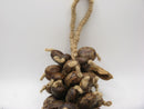 TOKO-BEADS AW207-92N Botanical seed ornament L:30Cmmm AW207-92N 木の実のオーナメント L:30Cmmm Asian bead & African bead  Handmade,Lampeork,bead,asia,india,ethnic,parts,accessory,beads とんぼ玉,ビーズ,トンボ玉,アジア,インド,エスニック,手作り,パーツ,アクセサリー