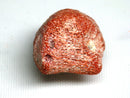TOKO-BEADS | TOKO-BEADS |AZ146-05 サンゴチャーム 21mm | TOKO-BEADS |AZ146-05 Coral Charm 21mm Asian bead & African bead  Handmade,Lampeork,bead,asia,india,ethnic,parts,accessory,beads とんぼ玉,ビーズ,トンボ玉,アジア,インド,エスニック,手作り,パーツ,アクセサリー
