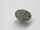 TOKO-BEADS | TOKO-BEADS |AZ146-16 サンゴチャーム 14mm | TOKO-BEADS |AZ146-16 Coral Charm 14mm Asian bead & African bead  Handmade,Lampeork,bead,asia,india,ethnic,parts,accessory,beads とんぼ玉,ビーズ,トンボ玉,アジア,インド,エスニック,手作り,パーツ,アクセサリー