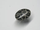 TOKO-BEADS | TOKO-BEADS |AZ146-16 サンゴチャーム 14mm | TOKO-BEADS |AZ146-16 Coral Charm 14mm Asian bead & African bead  Handmade,Lampeork,bead,asia,india,ethnic,parts,accessory,beads とんぼ玉,ビーズ,トンボ玉,アジア,インド,エスニック,手作り,パーツ,アクセサリー