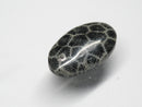 TOKO-BEADS | TOKO-BEADS |AZ146-18 サンゴチャーム 18.5mm | TOKO-BEADS |AZ146-18 Coral Charm 18.5mm Asian bead & African bead  Handmade,Lampeork,bead,asia,india,ethnic,parts,accessory,beads とんぼ玉,ビーズ,トンボ玉,アジア,インド,エスニック,手作り,パーツ,アクセサリー