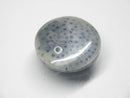 TOKO-BEADS | TOKO-BEADS |AZ146-26 サンゴチャーム 20mm | TOKO-BEADS |AZ146-26 Coral Charm 20mm Asian bead & African bead  Handmade,Lampeork,bead,asia,india,ethnic,parts,accessory,beads とんぼ玉,ビーズ,トンボ玉,アジア,インド,エスニック,手作り,パーツ,アクセサリー