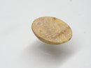 TOKO-BEADS | TOKO-BEADS |AZ146-32 サンゴチャーム 14mm | TOKO-BEADS |AZ146-32 Coral Charm 14mm Asian bead & African bead  Handmade,Lampeork,bead,asia,india,ethnic,parts,accessory,beads とんぼ玉,ビーズ,トンボ玉,アジア,インド,エスニック,手作り,パーツ,アクセサリー