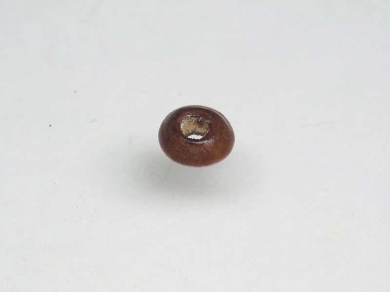 TOKO-BEADS BW003-06 Wooden Seed bead 6mm BW003-06 ウッドシードビーズ 6mm Asian bead & African bead  Handmade,Lampeork,bead,asia,india,ethnic,parts,accessory,beads とんぼ玉,ビーズ,トンボ玉,アジア,インド,エスニック,手作り,パーツ,アクセサリー