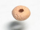 TOKO-BEADS CW047 Wooden bead 5mm CW047 ウッドビーズ 5mm Asian bead & African bead  Handmade,Lampeork,bead,asia,india,ethnic,parts,accessory,beads とんぼ玉,ビーズ,トンボ玉,アジア,インド,エスニック,手作り,パーツ,アクセサリー