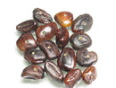 TOKO-BEADS CW062-02 Wood Seed bead (1mmhole/10g) 10~15mm CW062-02 タイ産タマリンド種子ビーズ（1mm穴10ｇセット） 10~15mm Asian bead & African bead  Handmade,Lampeork,bead,asia,india,ethnic,parts,accessory,beads とんぼ玉,ビーズ,トンボ玉,アジア,インド,エスニック,手作り,パーツ,アクセサリー