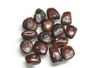 TOKO-BEADS CW062-04 Wood Seed bead (1mmhole/10g) 10~15mm CW062-04 タイ産タマリンド種子ビーズ（1mm穴10ｇセット） 10~15mm Asian bead & African bead  Handmade,Lampeork,bead,asia,india,ethnic,parts,accessory,beads とんぼ玉,ビーズ,トンボ玉,アジア,インド,エスニック,手作り,パーツ,アクセサリー