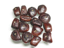 TOKO-BEADS CW062-05 Wood Seed bead (1mmhole/10g) 10~15mm CW062-05 タイ産タマリンド種子ビーズ（1mm穴10ｇセット） 10~15mm Asian bead & African bead  Handmade,Lampeork,bead,asia,india,ethnic,parts,accessory,beads とんぼ玉,ビーズ,トンボ玉,アジア,インド,エスニック,手作り,パーツ,アクセサリー