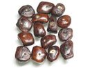 TOKO-BEADS CW062-06 Wood Seed bead (1mmhole/10g) 10~15mm CW062-06 タイ産タマリンド種子ビーズ（1mm穴10ｇセット） 10~15mm Asian bead & African bead  Handmade,Lampeork,bead,asia,india,ethnic,parts,accessory,beads とんぼ玉,ビーズ,トンボ玉,アジア,インド,エスニック,手作り,パーツ,アクセサリー