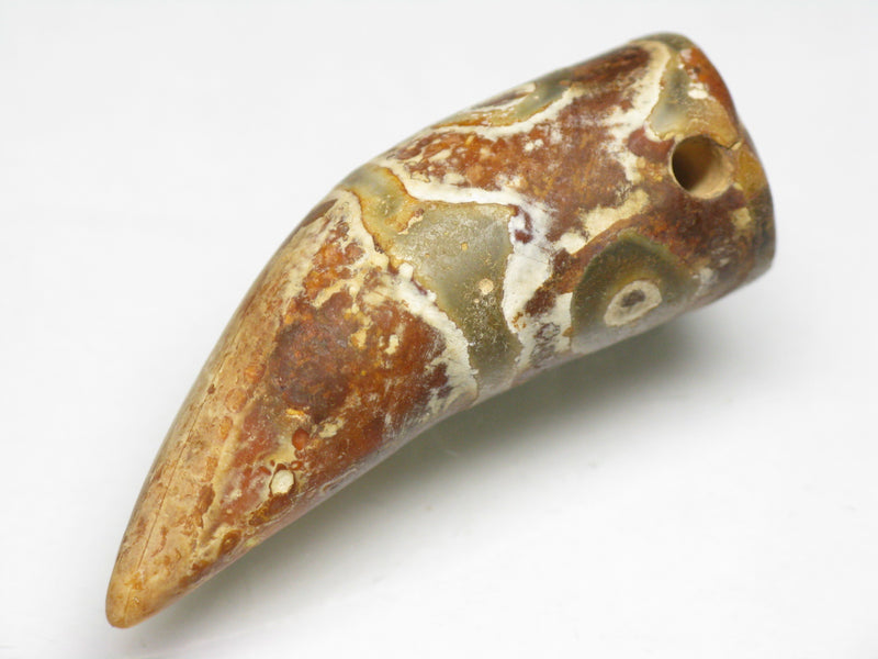 TOKO-BEADS EZ011-01 Tibetan Agate Tooth Pendant 13.5mm EZ011-01 チベタンアゲートペンダント 13.5mm Asian bead & African bead  Handmade,Lampeork,bead,asia,india,ethnic,parts,accessory,beads とんぼ玉,ビーズ,トンボ玉,アジア,インド,エスニック,手作り,パーツ,アクセサリー