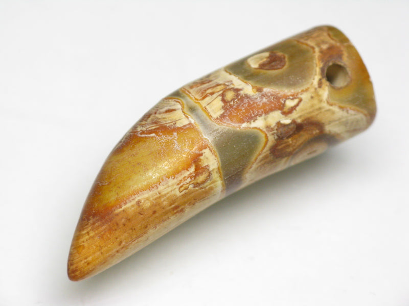 TOKO-BEADS EZ011-02 Tibetan Agate Tooth Pendant 12.5mm EZ011-02 チベタンアゲートペンダント 12.5mm Asian bead & African bead  Handmade,Lampeork,bead,asia,india,ethnic,parts,accessory,beads とんぼ玉,ビーズ,トンボ玉,アジア,インド,エスニック,手作り,パーツ,アクセサリー