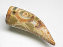 TOKO-BEADS EZ011-04 Tibetan Agate Tooth Pendant 14mm EZ011-04 チベタンアゲートペンダント 14mm Asian bead & African bead  Handmade,Lampeork,bead,asia,india,ethnic,parts,accessory,beads とんぼ玉,ビーズ,トンボ玉,アジア,インド,エスニック,手作り,パーツ,アクセサリー