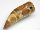TOKO-BEADS EZ011-05 Tibetan Agate Tooth Pendant 13mm EZ011-05 チベタンアゲートペンダント 13mm Asian bead & African bead  Handmade,Lampeork,bead,asia,india,ethnic,parts,accessory,beads とんぼ玉,ビーズ,トンボ玉,アジア,インド,エスニック,手作り,パーツ,アクセサリー