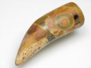 TOKO-BEADS EZ011-06 Tibetan Agate Tooth Pendant 13mm EZ011-06 チベタンアゲートペンダント 13mm Asian bead & African bead  Handmade,Lampeork,bead,asia,india,ethnic,parts,accessory,beads とんぼ玉,ビーズ,トンボ玉,アジア,インド,エスニック,手作り,パーツ,アクセサリー