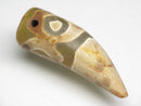 TOKO-BEADS EZ011-07 Tibetan Agate Tooth Pendant 13mm EZ011-07 チベタンアゲートペンダント 13mm Asian bead & African bead  Handmade,Lampeork,bead,asia,india,ethnic,parts,accessory,beads とんぼ玉,ビーズ,トンボ玉,アジア,インド,エスニック,手作り,パーツ,アクセサリー