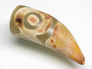 TOKO-BEADS EZ011-10 Tibetan Agate Tooth Pendant 14mm EZ011-10 チベタンアゲートペンダント 14mm Asian bead & African bead  Handmade,Lampeork,bead,asia,india,ethnic,parts,accessory,beads とんぼ玉,ビーズ,トンボ玉,アジア,インド,エスニック,手作り,パーツ,アクセサリー