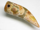TOKO-BEADS EZ011-11 Tibetan Agate Tooth Pendant 12mm EZ011-11 チベタンアゲートペンダント 12mm Asian bead & African bead  Handmade,Lampeork,bead,asia,india,ethnic,parts,accessory,beads とんぼ玉,ビーズ,トンボ玉,アジア,インド,エスニック,手作り,パーツ,アクセサリー