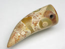 TOKO-BEADS EZ011-16 Tibetan Agate Tooth Pendant 14mm EZ011-16 チベタンアゲートペンダント 14mm Asian bead & African bead  Handmade,Lampeork,bead,asia,india,ethnic,parts,accessory,beads とんぼ玉,ビーズ,トンボ玉,アジア,インド,エスニック,手作り,パーツ,アクセサリー