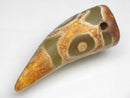 TOKO-BEADS EZ011-17 Tibetan Agate Tooth Pendant 14.5mm EZ011-17 チベタンアゲートペンダント 14.5mm Asian bead & African bead  Handmade,Lampeork,bead,asia,india,ethnic,parts,accessory,beads とんぼ玉,ビーズ,トンボ玉,アジア,インド,エスニック,手作り,パーツ,アクセサリー