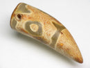 TOKO-BEADS EZ011-20 Tibetan Agate Tooth Pendant 14mm EZ011-20 チベタンアゲートペンダント 14mm Asian bead & African bead  Handmade,Lampeork,bead,asia,india,ethnic,parts,accessory,beads とんぼ玉,ビーズ,トンボ玉,アジア,インド,エスニック,手作り,パーツ,アクセサリー