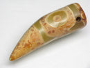TOKO-BEADS EZ011-21 Tibetan Agate Tooth Pendant 12mm EZ011-21 チベタンアゲートペンダント 12mm Asian bead & African bead  Handmade,Lampeork,bead,asia,india,ethnic,parts,accessory,beads とんぼ玉,ビーズ,トンボ玉,アジア,インド,エスニック,手作り,パーツ,アクセサリー