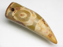 TOKO-BEADS EZ011-21 Tibetan Agate Tooth Pendant 12mm EZ011-21 チベタンアゲートペンダント 12mm Asian bead & African bead  Handmade,Lampeork,bead,asia,india,ethnic,parts,accessory,beads とんぼ玉,ビーズ,トンボ玉,アジア,インド,エスニック,手作り,パーツ,アクセサリー