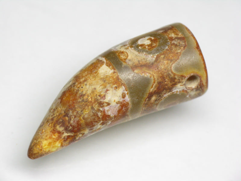 TOKO-BEADS EZ011-23 Tibetan Agate Tooth Pendant 13.5mm EZ011-23 チベタンアゲートペンダント 13.5mm Asian bead & African bead  Handmade,Lampeork,bead,asia,india,ethnic,parts,accessory,beads とんぼ玉,ビーズ,トンボ玉,アジア,インド,エスニック,手作り,パーツ,アクセサリー