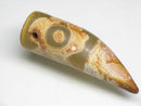 TOKO-BEADS EZ011-25 Tibetan Agate Tooth Pendant 12mm EZ011-25 チベタンアゲートペンダント 12mm Asian bead & African bead  Handmade,Lampeork,bead,asia,india,ethnic,parts,accessory,beads とんぼ玉,ビーズ,トンボ玉,アジア,インド,エスニック,手作り,パーツ,アクセサリー