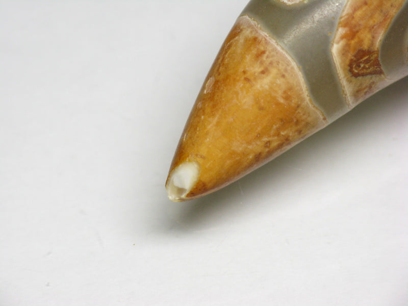 TOKO-BEADS EZ011-27 Tibetan Agate Tooth Pendant 15mm EZ011-27 チベタンアゲートペンダント 15mm Asian bead & African bead  Handmade,Lampeork,bead,asia,india,ethnic,parts,accessory,beads とんぼ玉,ビーズ,トンボ玉,アジア,インド,エスニック,手作り,パーツ,アクセサリー