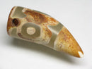 TOKO-BEADS EZ011-27 Tibetan Agate Tooth Pendant 15mm EZ011-27 チベタンアゲートペンダント 15mm Asian bead & African bead  Handmade,Lampeork,bead,asia,india,ethnic,parts,accessory,beads とんぼ玉,ビーズ,トンボ玉,アジア,インド,エスニック,手作り,パーツ,アクセサリー