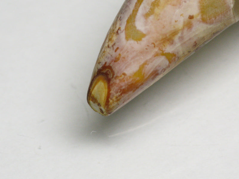 TOKO-BEADS EZ011-30 Tibetan Agate Tooth Pendant 12mm EZ011-30 チベタンアゲートペンダント 12mm Asian bead & African bead  Handmade,Lampeork,bead,asia,india,ethnic,parts,accessory,beads とんぼ玉,ビーズ,トンボ玉,アジア,インド,エスニック,手作り,パーツ,アクセサリー