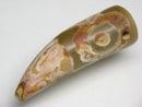 TOKO-BEADS EZ011-30 Tibetan Agate Tooth Pendant 12mm EZ011-30 チベタンアゲートペンダント 12mm Asian bead & African bead  Handmade,Lampeork,bead,asia,india,ethnic,parts,accessory,beads とんぼ玉,ビーズ,トンボ玉,アジア,インド,エスニック,手作り,パーツ,アクセサリー