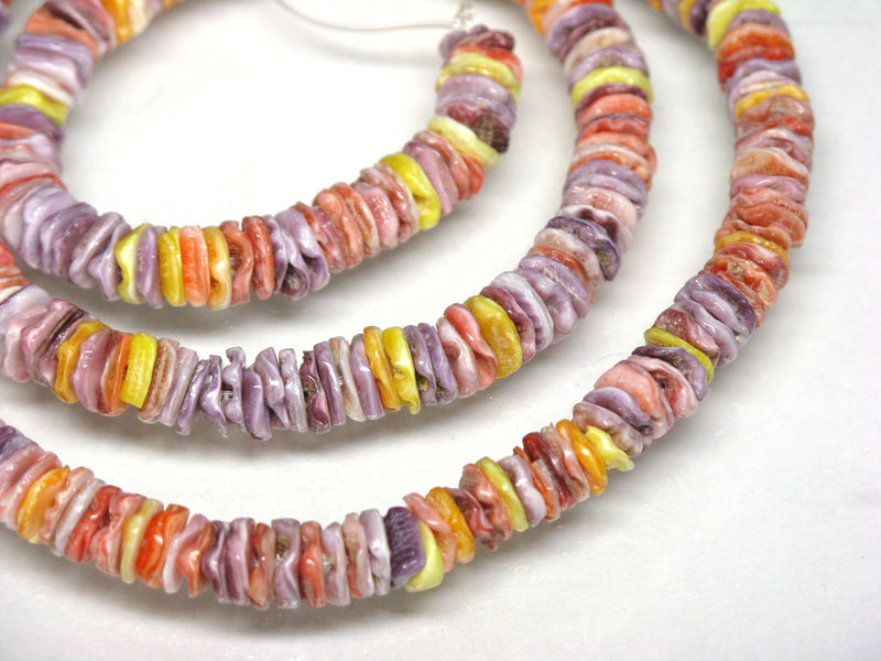 13-010|トコ・ビーズ | シェル・ヒーシー