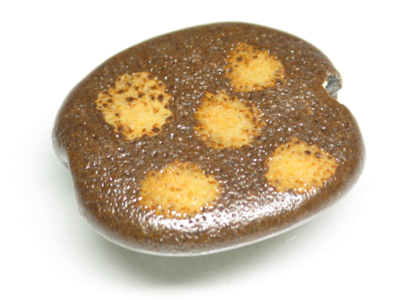 TOKO-BEADS KZ007-20 Kenyan ceramic bead 21~23mm KZ007-20 ケニアセラミックビーズ 21~23mmKazuri カズリビーズ Asian bead & African bead  Handmade,Lampeork,bead,asia,india,ethnic,parts,accessory,beads とんぼ玉,ビーズ,トンボ玉,アジア,インド,エスニック,手作り,パーツ,アクセサリー