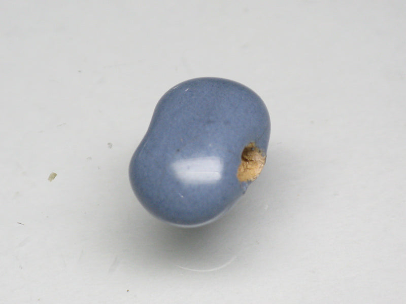 TOKO-BEADS KZ117-15 Kenyan ceramic bead 11~12mm KZ117-15 Kazuri ケニアセラミックビーズ 11~12mm Asian bead & African bead  Handmade,Lampeork,bead,asia,india,ethnic,parts,accessory,beads とんぼ玉,ビーズ,トンボ玉,アジア,インド,エスニック,手作り,パーツ,アクセサリー
