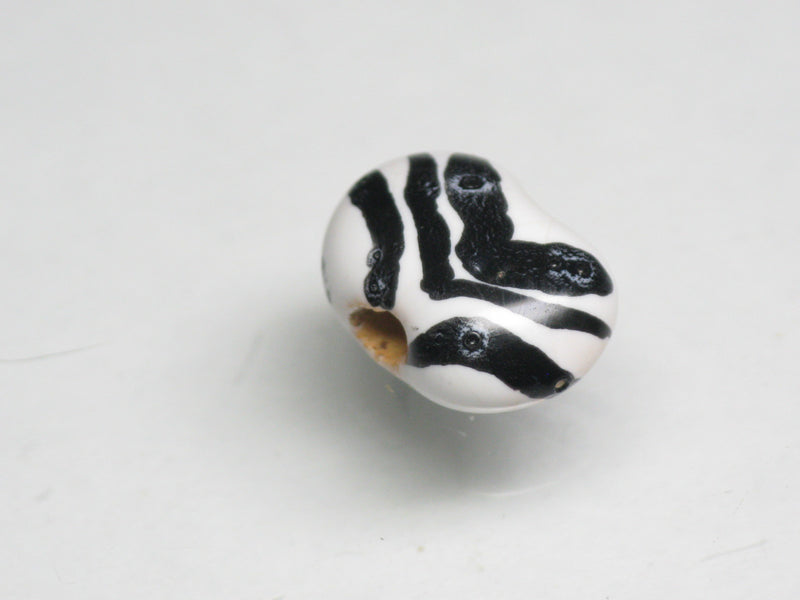 TOKO-BEADS KZ167-01 Kenyan ceramic bead 12mm KZ167-01 ケニアセラミックビーズ 12mm Asian bead & African bead  Handmade,Lampeork,bead,asia,india,ethnic,parts,accessory,beads とんぼ玉,ビーズ,トンボ玉,アジア,インド,エスニック,手作り,パーツ,アクセサリー