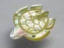 TOKO-BEADS PB007-05 Shell Charm 23mm PB007-05 シェルチャーム（カメ） 23mm Asian bead & African bead  Handmade,Lampeork,bead,asia,india,ethnic,parts,accessory,beads とんぼ玉,ビーズ,トンボ玉,アジア,インド,エスニック,手作り,パーツ,アクセサリー