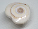 TOKO-BEADS | TOKO-BEADS |PB007-27 シェルチャーム 22~23mm | TOKO-BEADS |PB007-27 Shell Charm 22~23mm Asian bead & African bead  Handmade,Lampeork,bead,asia,india,ethnic,parts,accessory,beads とんぼ玉,ビーズ,トンボ玉,アジア,インド,エスニック,手作り,パーツ,アクセサリー