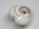 TOKO-BEADS | TOKO-BEADS |PB007-30 シェルチャーム 20~21mm | TOKO-BEADS |PB007-30 Shell Charm 20~21mm Asian bead & African bead  Handmade,Lampeork,bead,asia,india,ethnic,parts,accessory,beads とんぼ玉,ビーズ,トンボ玉,アジア,インド,エスニック,手作り,パーツ,アクセサリー